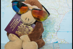 Kids-passports-Sandra-Sergeant-Photography-Basingstoke-Passport-Photographs
