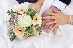 Amazing flowers - Sandra Sergeant Photography Basingstoke