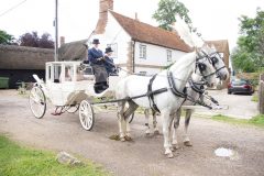 How lovely - Sandra Sergeant Photography Basingstoke