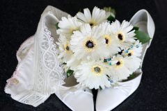 Knickers - Sandra Sergeant Photography Basingstoke