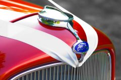 White ribbon - Sandra Sergeant Photography Basingstoke