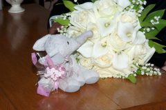 little elephant - Sandra Sergeant Photography Basingstoke